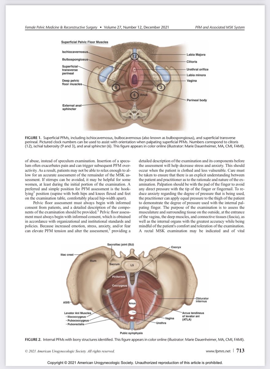 To be bookmarked! A stellar multidisciplinary team (PT, PM&amp;R, Urogyn) authored this new <a href="/FPMRS/">AUGS</a> guidance on the examination of the pelvic floor and associated musculoskeletal system. @FPMRSJournal <a href="/JerryLLowder/">Jerry Lowder</a> <a href="/EmilyWhitcombMD/">Emily L. Whitcomb, MD, MAS</a> 

augs.org/assets/1/6/Ass…
