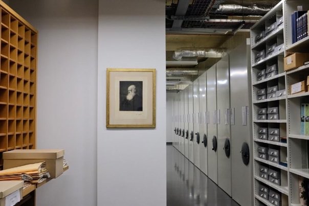 Samuel Brockington (@brockingtonian) on Twitter photo #Botanical #Collections JOBS GALORE <a href="/Cambridge_Uni/">Cambridge University</a>. 1) Collections Coordinator <a href="/CUBotanicGarden/">Cam Botanic Garden</a> (👉 bit.ly/3259LGP); 2) Botanical librarian <a href="/CUBotanicGarden/">Cam Botanic Garden</a> <a href="/CUHerb/">Cambridge University Herbarium (CGE)</a> (👉 bit.ly/3ytII4m; 3) Curation & Digitisation Assistant <a href="/CUHerb/">Cambridge University Herbarium (CGE)</a> (👉 bit.ly/3lVMiiz) #Botanical #Collections JOBS GALORE <a href="/Cambridge_Uni/">Cambridge University</a>. 1) Collections Coordinator <a href="/CUBotanicGarden/">Cam Botanic Garden</a> (👉 bit.ly/3259LGP); 2) Botanical librarian <a href="/CUBotanicGarden/">Cam Botanic Garden</a> <a href="/CUHerb/">Cambridge University Herbarium (CGE)</a> (👉 bit.ly/3ytII4m; 3) Curation & Digitisation Assistant <a href="/CUHerb/">Cambridge University Herbarium (CGE)</a> (👉 bit.ly/3lVMiiz)