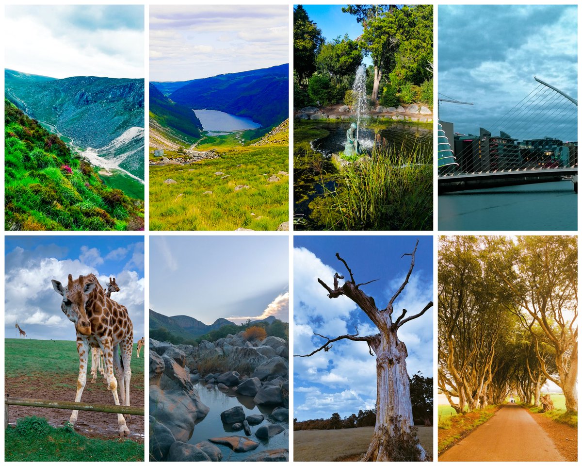 keletso_kv's tweet photo. 'The World through my lens'
A 1/1 NFT collection of nature, wildlife and architectural photography.

Preserving memories through photography. Moments frozen in time.

Available on:https://t.co/OhM9RQruHn https://t.co/qVQp593H5p