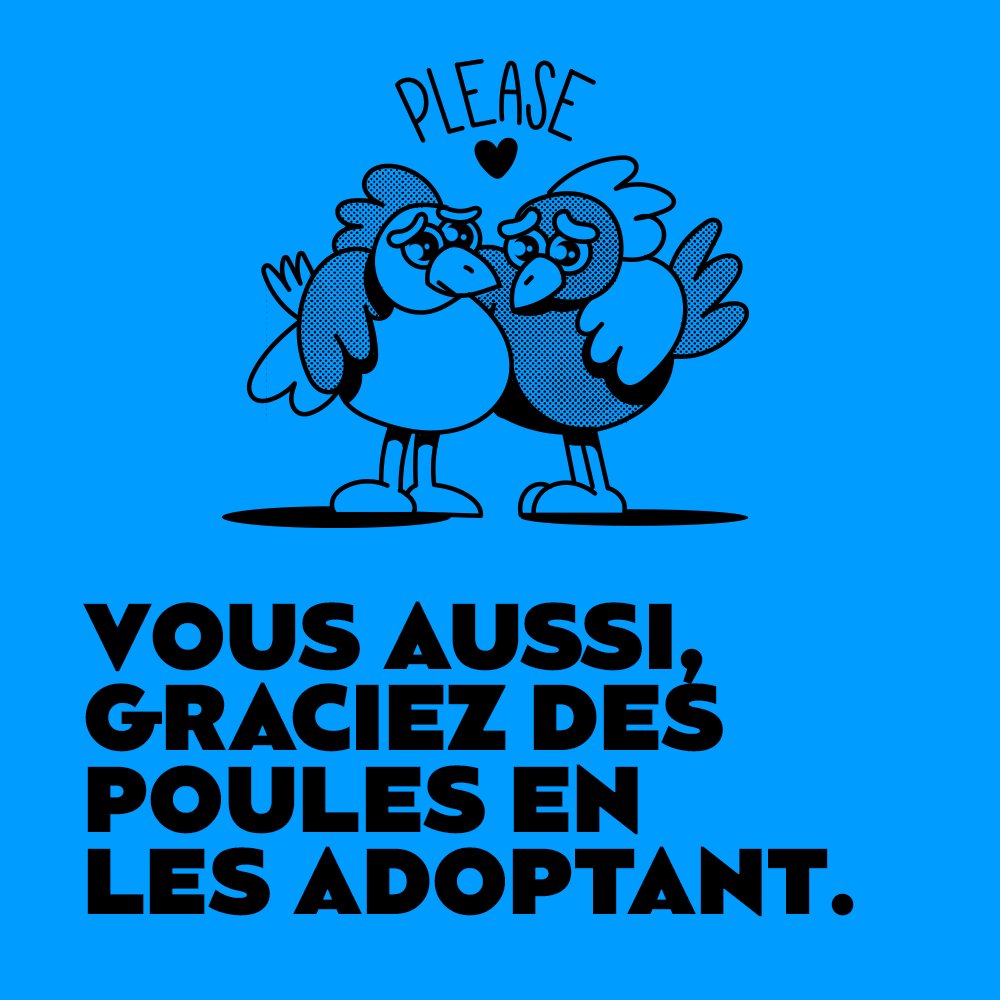 Welfarm (@welfarm) on Twitter photo 🔴Pour permettre au projet <a href="/poulehouse/">Poulehouse</a> de survivre suite à la rupture unilatérale de son partenaire sous-traitant au mois d’octobre dernier, la marque de "l'oeuf qui ne tue pas la poule"" propose URGEMMENT ses poules à l'adoption jusqu'au 31 Décembre.
👉poulehouse.fr🐔 🔴Pour permettre au projet <a href="/poulehouse/">Poulehouse</a> de survivre suite à la rupture unilatérale de son partenaire sous-traitant au mois d’octobre dernier, la marque de "l'oeuf qui ne tue pas la poule"" propose URGEMMENT ses poules à l'adoption jusqu'au 31 Décembre.
👉poulehouse.fr🐔
