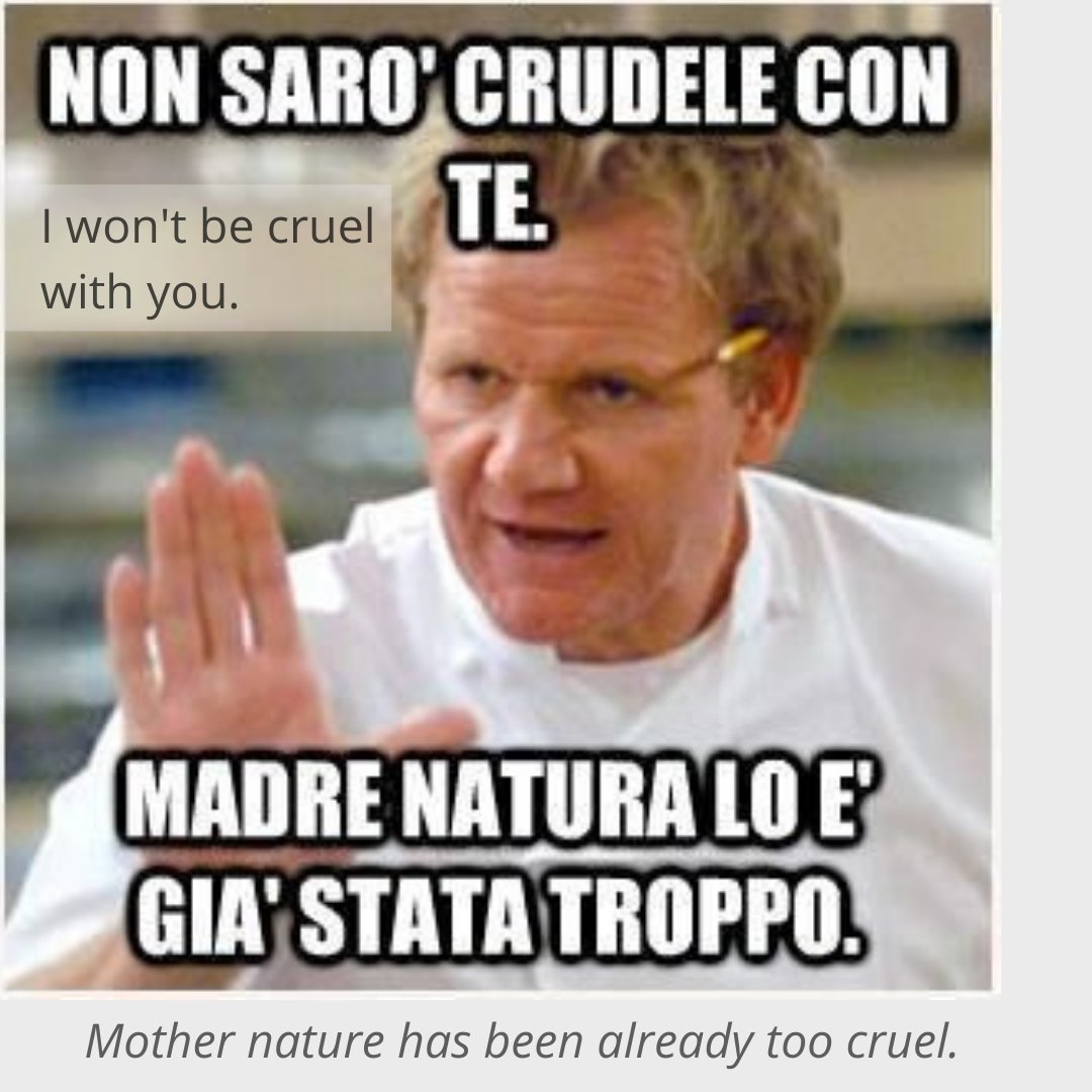 Italian_w_memes's tweet photo. #langtwt #italian #learnitalian #italianonline #italianmemes https://t.co/89NSs0AP0K