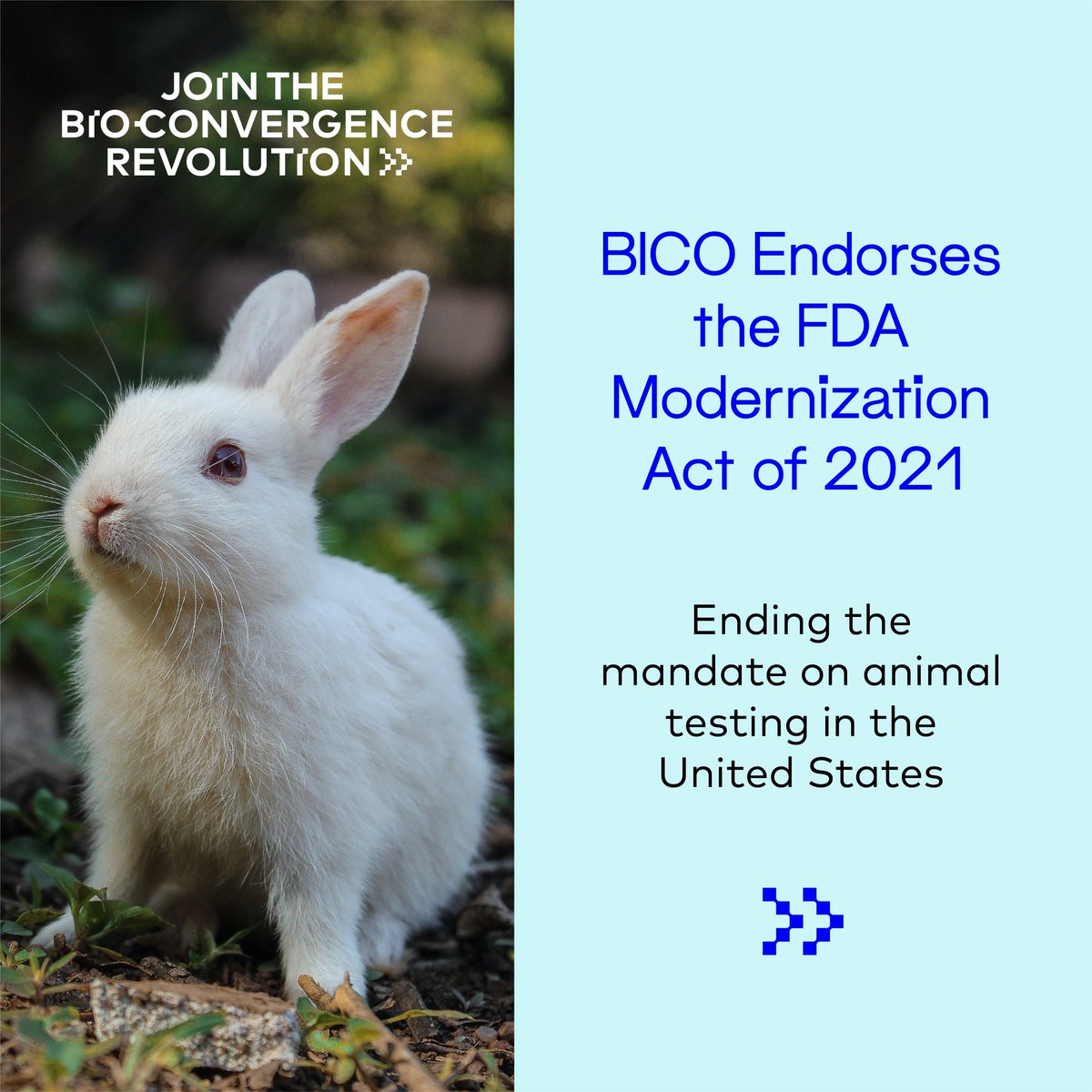 Today the entire <a href="/theBICOgroup/">BICO</a> is endorsing the FDA Modernization Act, a bill that would end the mandate on animal testing in the U.S.
Read more about the legislation and our efforts to provide alternatives to animal testing: bico.com/investors/sing…
#endanimaltesting #lifescience