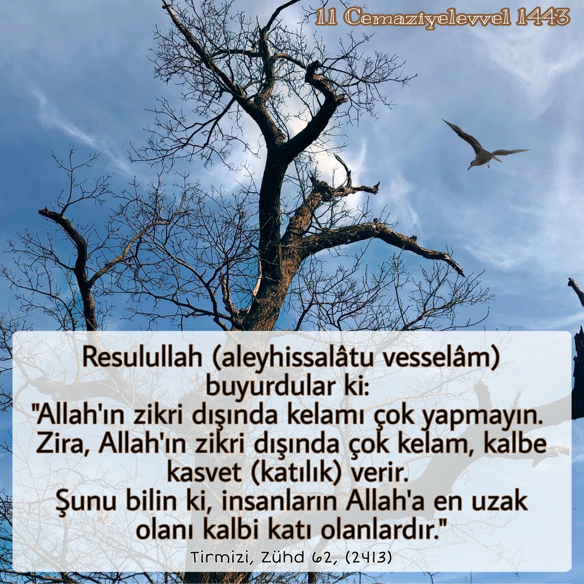 Shim kiygan qizlar jinsiy aloqa Saraton mushuki