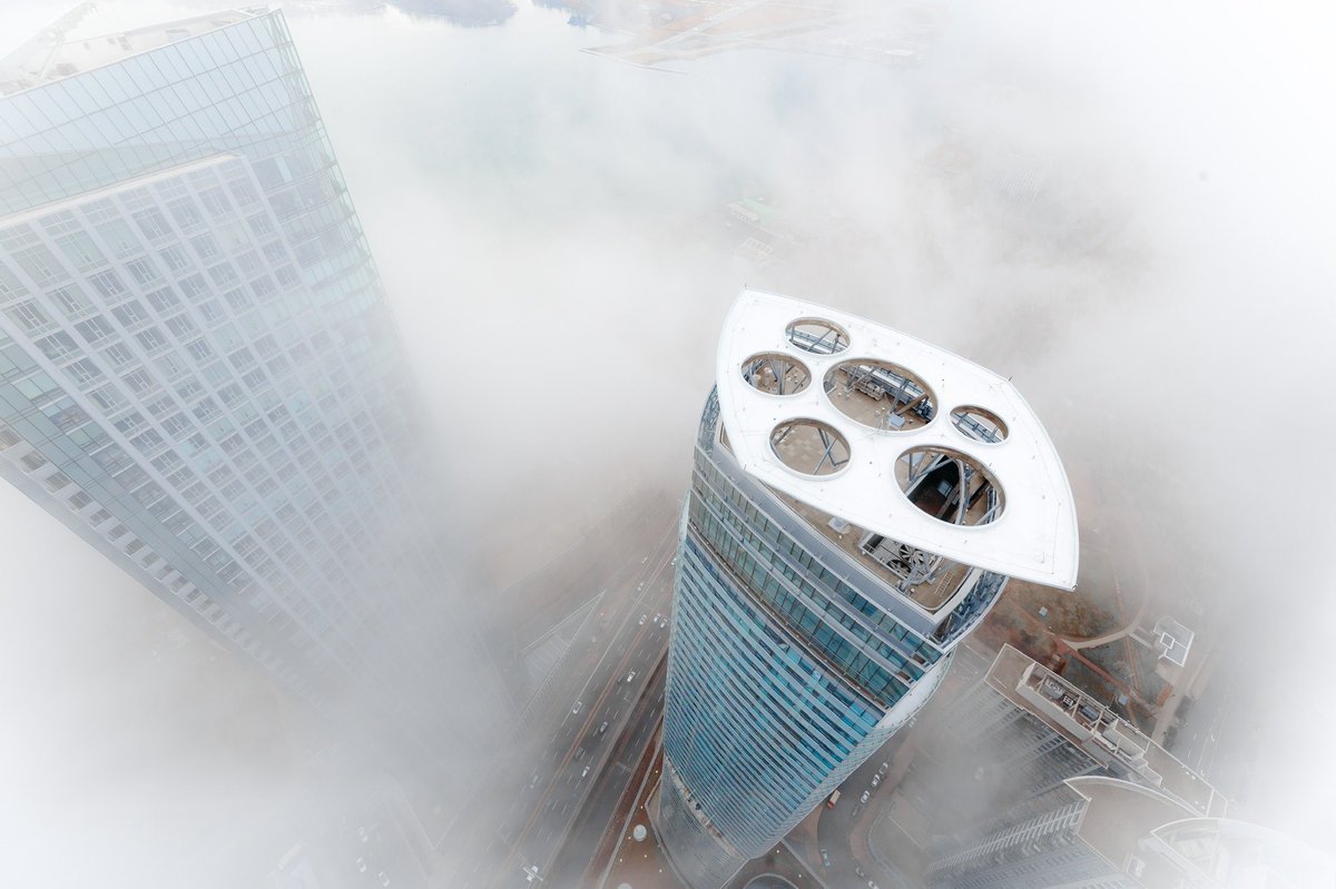 gm, here’s to 800 🥂🍾