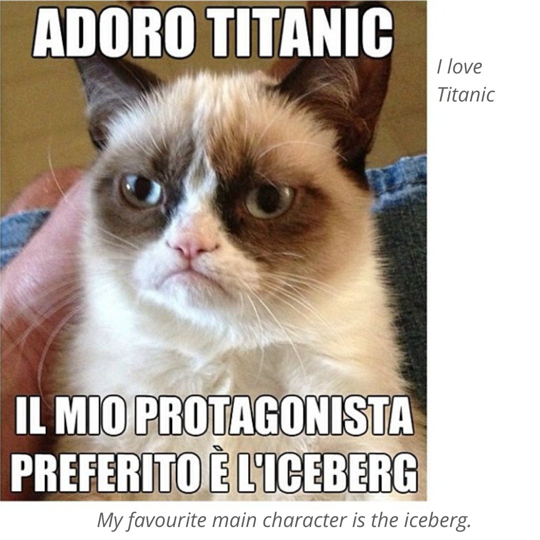 Italian_w_memes's tweet photo. #langtwt #italian #learnitalian #italianonline #italianmemes https://t.co/b0ddfgeVBg