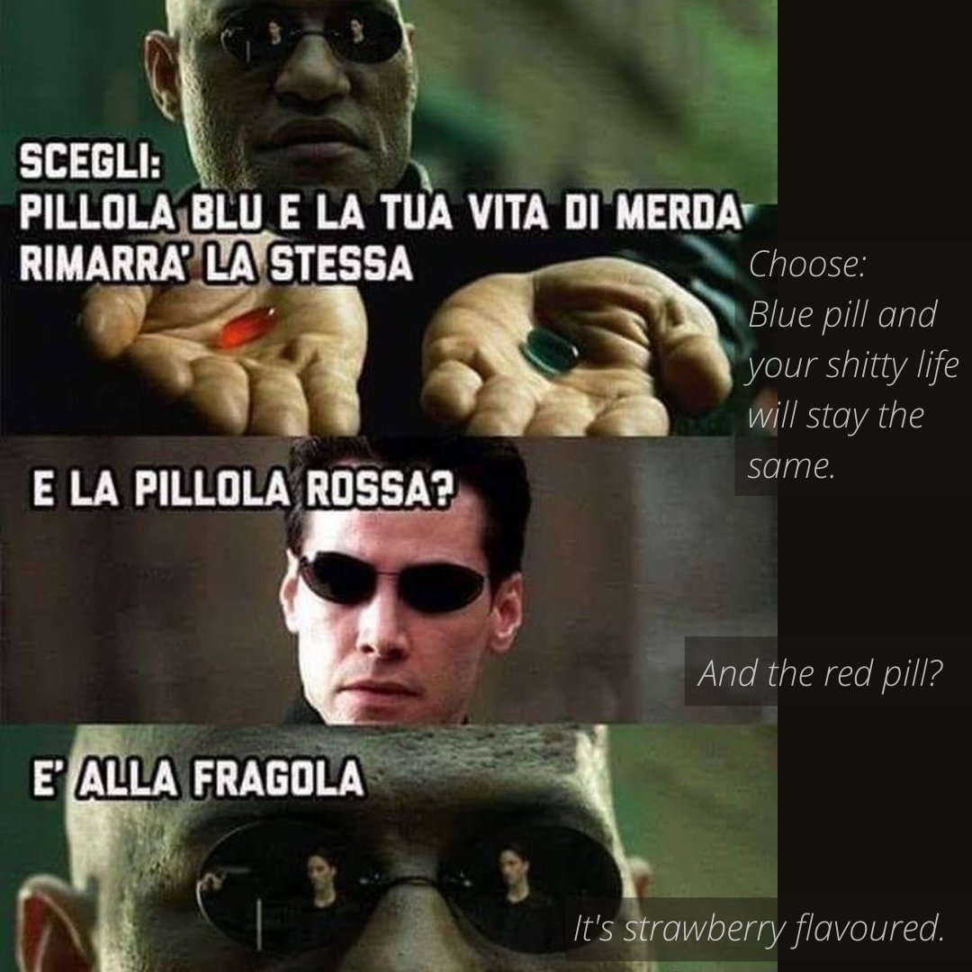 Italian_w_memes's tweet photo. #langtwt #italian #learnitalian #italianonline #italianmemes https://t.co/bxPXmKIXaI
