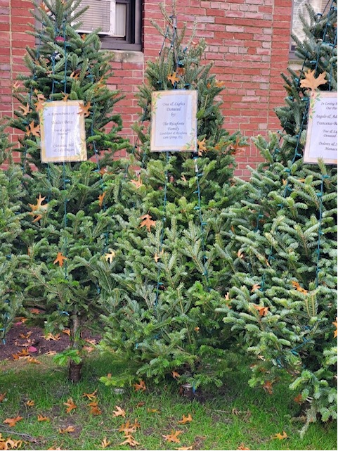 This year, the Ricaforte Family/Landskind and Ricaforte Law Group sponsored a Christmas Tree at St. Anselm’s Church in Bay Ridge, Brooklyn.