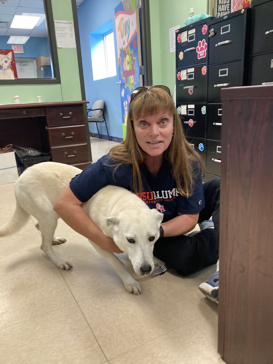 FBCASTX's tweet photo. Lil Mamas is so ready to do some decompressing in foster care! A nice shelter vacation is just what she needed! #foster #shorttermfoster #break #vacay https://t.co/vvibuCcUur
