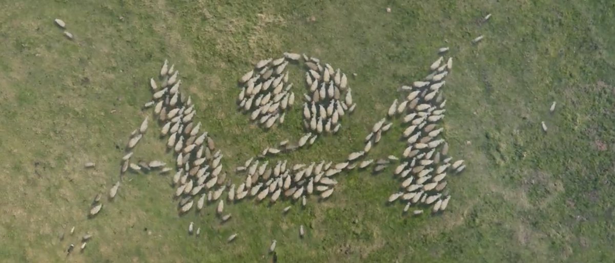 gray's tweet photo. A24’s logo game is strong. https://t.co/Twf031wloB