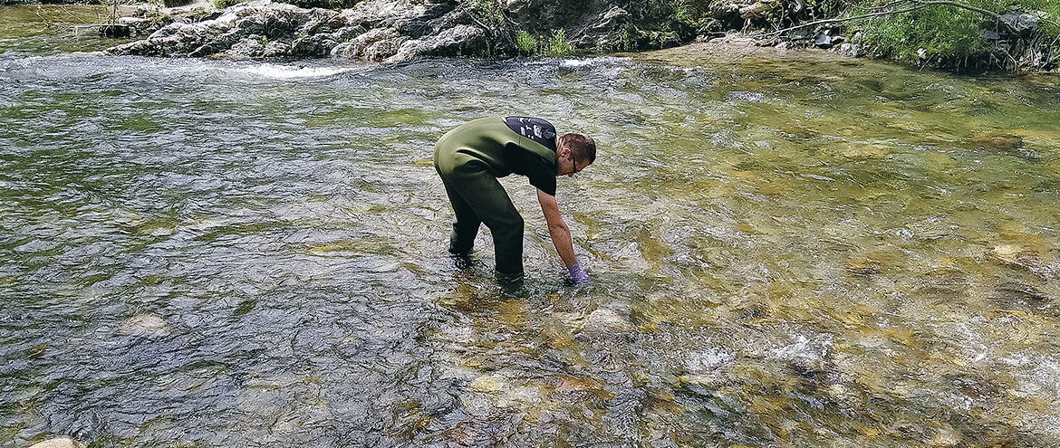 revueSET's tweet photo. 🆕Directive cadre européenne sur l'eau : bilan de 20 années de recherche pour la reconquête des milieux aquatiques 🐟🐟https://t.co/wZjGUYkZKg 🐟🐟
@revueSET
#eau #bioindication #OFBiodiversite #INRAE #PolitiquePublique #biodiversité https://t.co/c6NTT0dni7