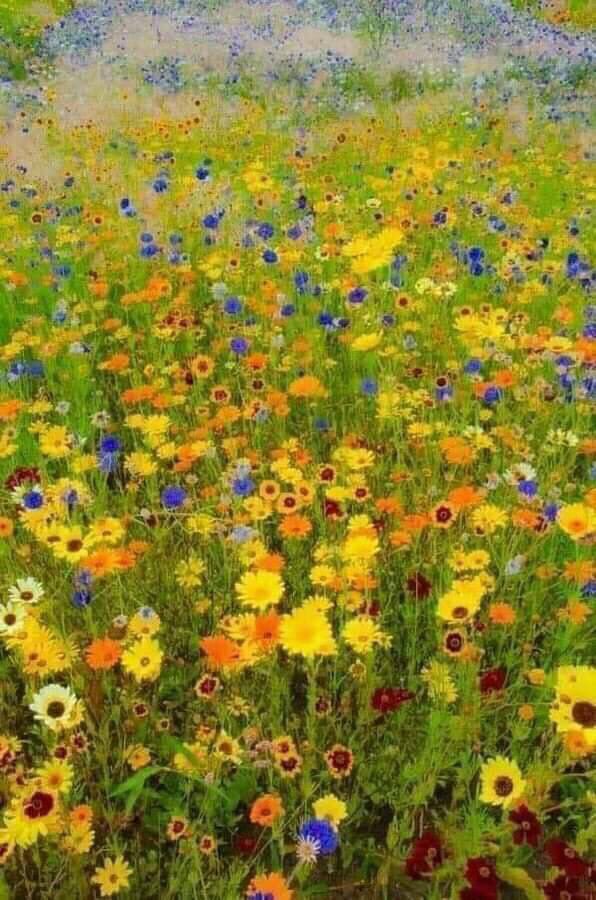 This is not Klimt. This photo Wildlife Meadow, London Olympic Parc, August 2012.