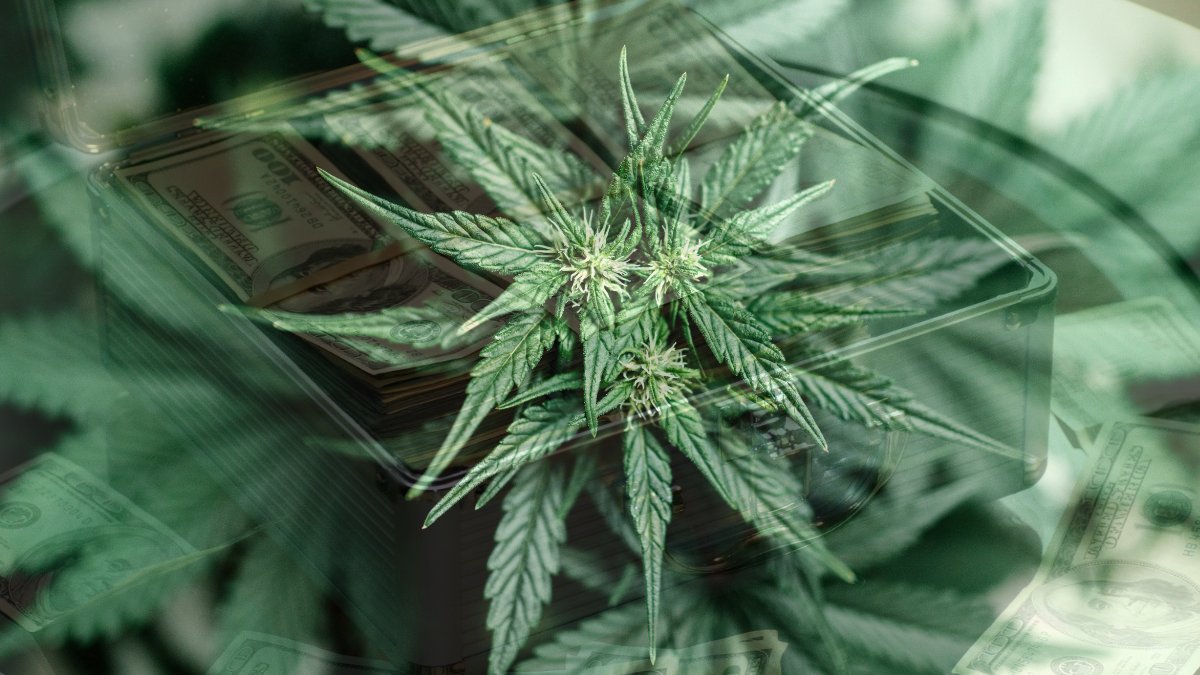 CBDLearningBase's tweet image. US Eagle certification programs focusing on cannabis and hemp banking protocols are designed to provide safeguards for financial institutions to cut down illegal activity. bit.ly/3pZt8tl

#CannabisCommunity #cannabisculture #cannabisindustry #CannabisLegal #CBD