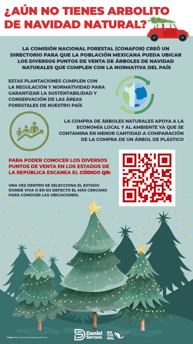 daniel_ser's tweet photo. En esta temporada decembrina debemos ser responsables con el medio ambiente, por eso la @CONAFOR puso a disposición de todas y toda una lista de lugares donde pueden adquirir su árbol navideño natural que cumple con las normas nacionales. https://t.co/WcEovnVblt