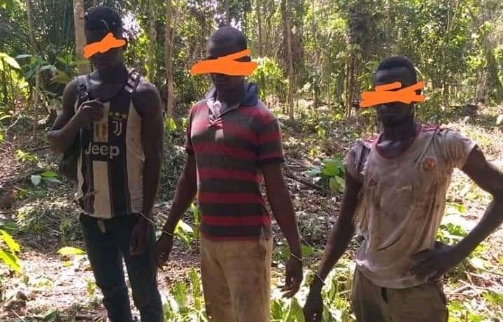 ICI1FO's tweet image. #CIV225 : Protection des forêts classées ivoiriennes, la #SODEFOR fait un bilan ici1fo.com/cote-divoire--…