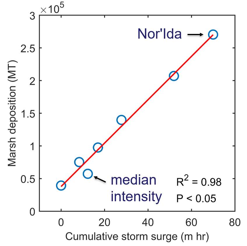 QingguangZ's tweet photo. Interested in the effects of storm surge on microtidal marsh deposition? I will present our model simulation results in VCR-LTER @vcrlter at 1 pm today in the AGU Session EP23B. https://t.co/ulZRN9VokR #AGU21 https://t.co/5gmLjE1AEL
