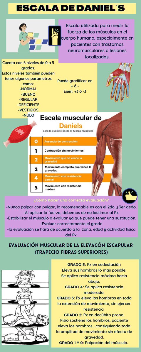 ReeyF7's tweet photo. #ValoraciónMuscular 
@GanteElsy https://t.co/bXLootYzje
