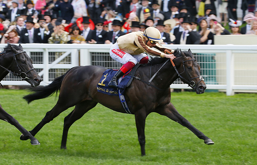 The exceptionally fast & precocious sprinter A’ALI is to stand @newsellspark in 2022. A triple Gr.2 winning 2yo inc Gr.2 Norfolk Stakes at #RoyalAscot, he was also a Gr.2 & Gr.3 winning 5f sprinter at 3. 🚀#RoyalRocket @Ascot #AAli #NewSire
