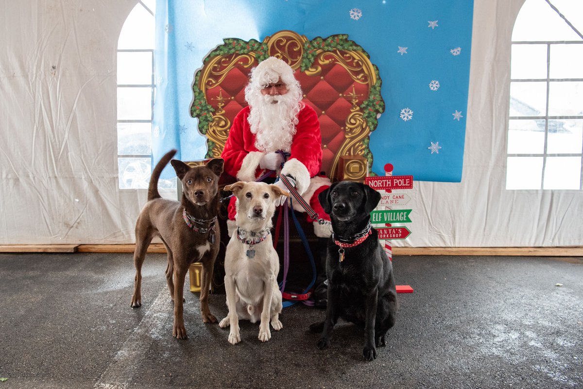 With some planning, social media posting, email marketing, and word of mouth, we brought about 20 dog families to the dealership to get photos with Santa AND even helped one dog get adopted!

#BMG #Marketing #communityinvolvement #communityoutreach #SPCA #BrandywineValleySPCA