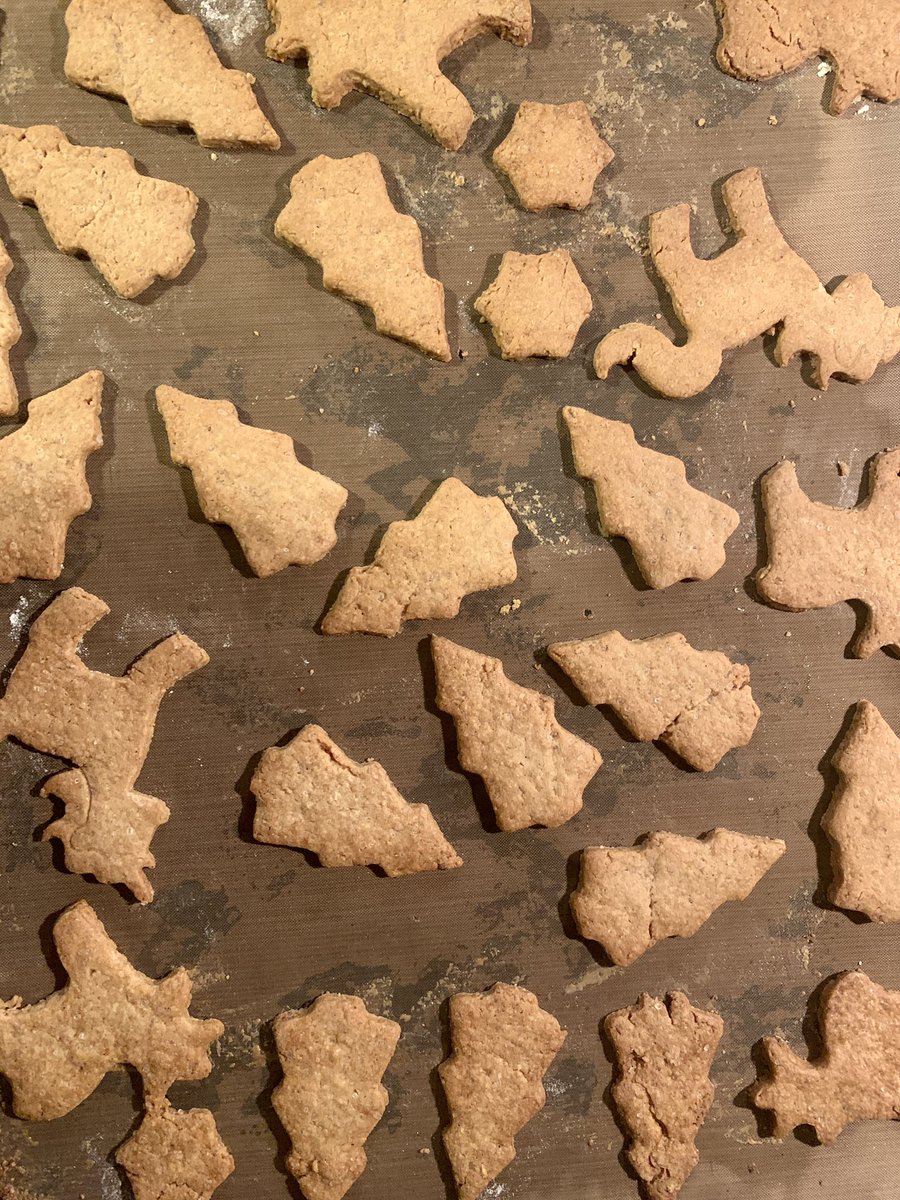 kruegerol's tweet image. #randomforrest