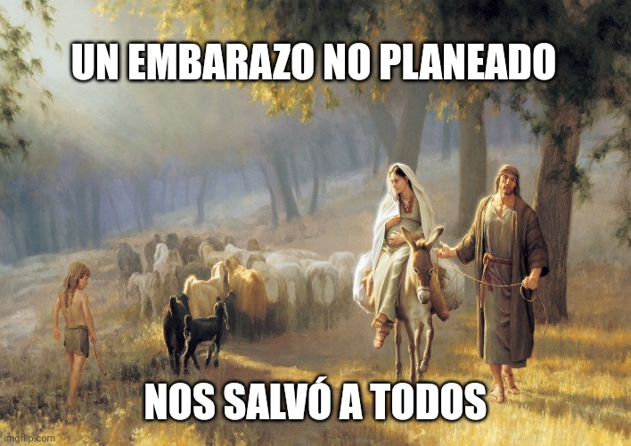 patergongora's tweet photo. "Mis planes no son vuestros planes". https://t.co/JjPr3woKFT