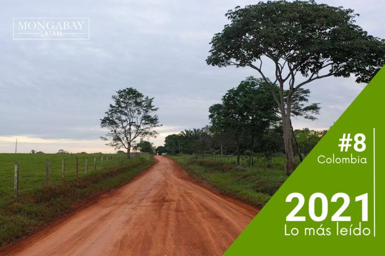 MongabayLatam's tweet photo. En el especial #MapasDelDelito, @agosan404 documentó cómo el Parque Serranía de Chiribiquete, patrimonio natural y cultural de la humanidad, y el Resguardo Indígena Yaguará II, están bajo amenaza por tres vías ilegales que atraviesan estos territorios en Colombia. (9/12) https://t.co/5RTLF50CtV