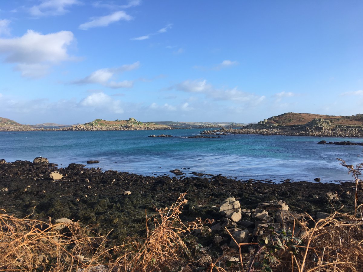 pwilsonsmith's tweet photo. Have brought my blog up to date with my last trip - out to the Isles of Scilly during Storm Barra!  https://t.co/TXy4YyvEwv https://t.co/QMxqb4B5Rt