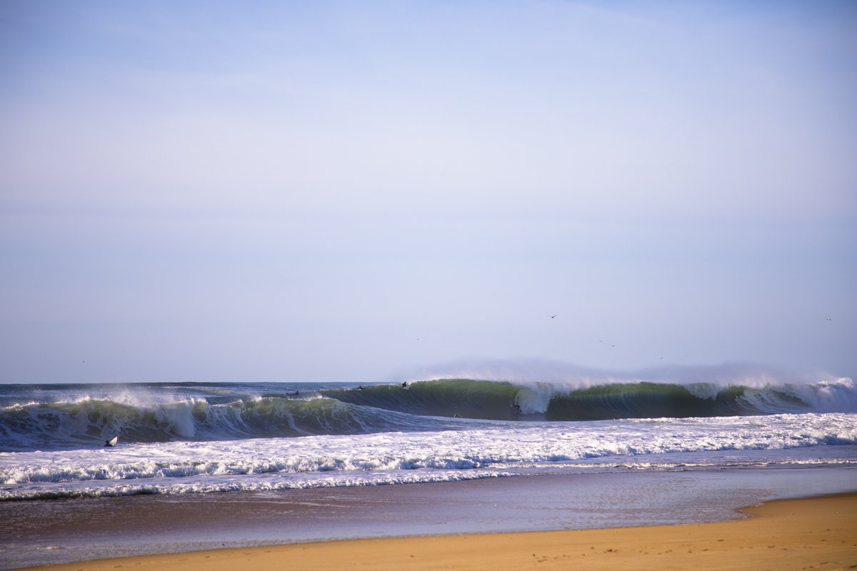 🐈🐈🐈

#wedidsomebeauboulot