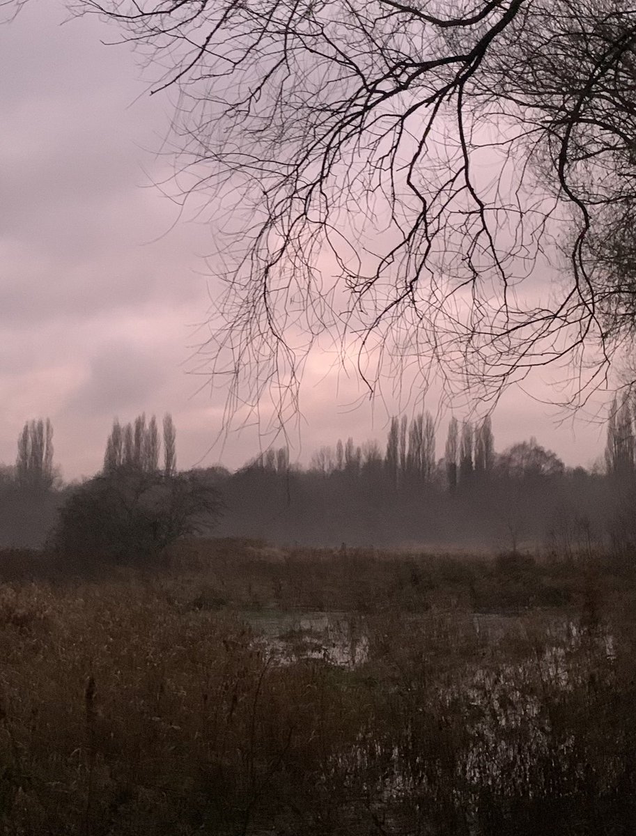 Misty meadow moment! #decemberdays #twilightreeline #wateryways #mist #misty #meadow #moment #mood #december #days #twilight #treeline #water #ways
