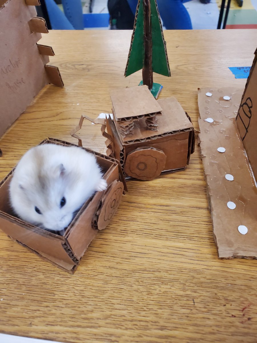 TupeloMiddle's tweet photo. TMS Art students made a Christmas Village for the class hamster. Gingerbread houses, Christmas trees, &amp; candy made out of cardboard/paper/white glue. All completely safe for Gus Gus to nibble on

While Gus-Gus enjoys the village, students designed their own wrapping paper! #TPSD https://t.co/LLe5qMp0Dw