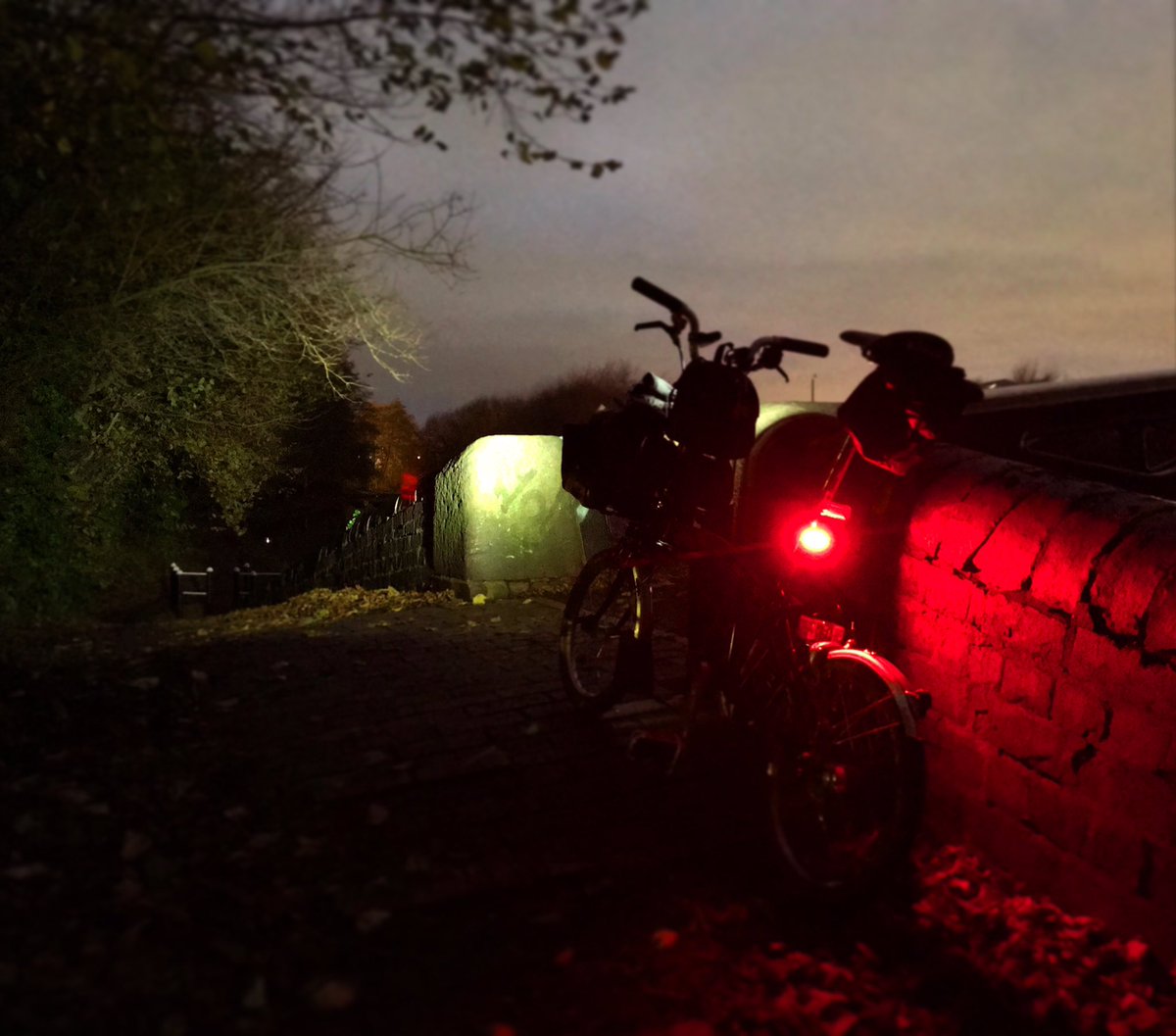 cycle_everyday's tweet photo. Nighttime commute 💡🚲💨
•
Nice ride along the Canal this evening back from work 😀glad to have my other Brompton back now the rear hinge pin is fixed finally!
•
•
#brompton #bromptonbicycle #bromptonlovers #bromptonlife #cycle #bikeisbest @LovetoRide_ https://t.co/lX1eysfuQs