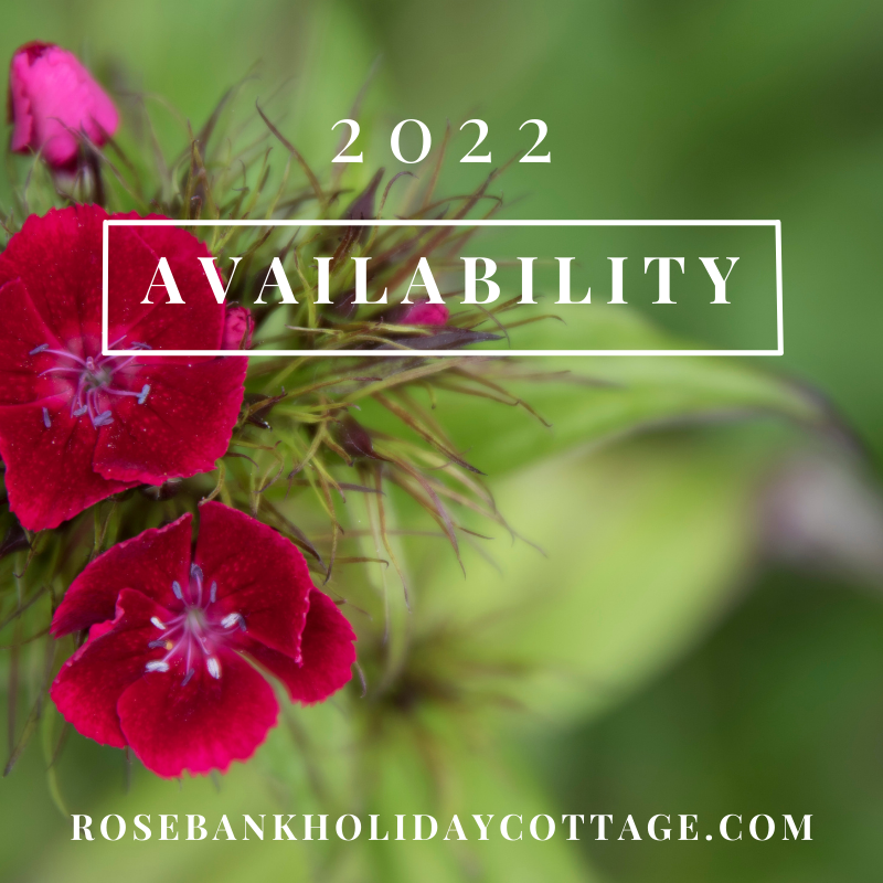 FODholidaycott's tweet photo. Book early and secure the dates for your cottage stay in 2022. Bookings now being taken... 

https://t.co/veZecVXtgT

#cottagestays #holidaycottage #ukholiday #deanwye https://t.co/UFecXPBhlU