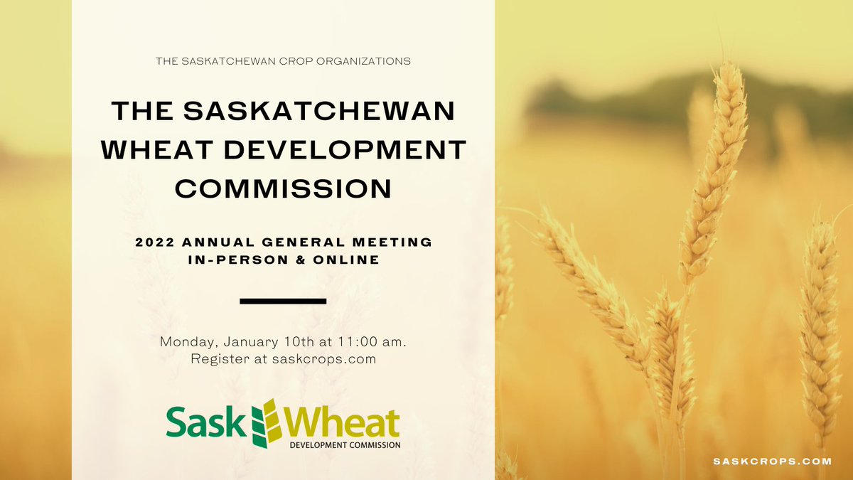 SaskCrops (@saskcrops) on Twitter photo Have you registered for the <a href="/SaskWheat/">Sask Wheat</a> AGM being offered in-person and virtually on Monday, January 10? Register today at saskcrops.com/event-agenda. #SkCropOrganizations #Saskatchewan #Agriculture #SkFarming #SaskAg #WestCdnAg Have you registered for the <a href="/SaskWheat/">Sask Wheat</a> AGM being offered in-person and virtually on Monday, January 10? Register today at saskcrops.com/event-agenda. #SkCropOrganizations #Saskatchewan #Agriculture #SkFarming #SaskAg #WestCdnAg