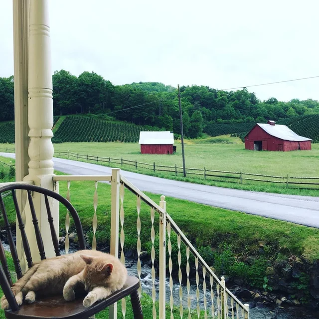 CampingEdition's tweet photo. My sisters front porch in VA
#sisterfromanothermister #sisters👭 #sistergoals #sistersforlife #sistersforever #sisterlove❤️ #soulsister #sisterlocks #sisterandbrother #sisters❤️ #bbgsisters #sisterlove👭 https://t.co/QcssGWhavL