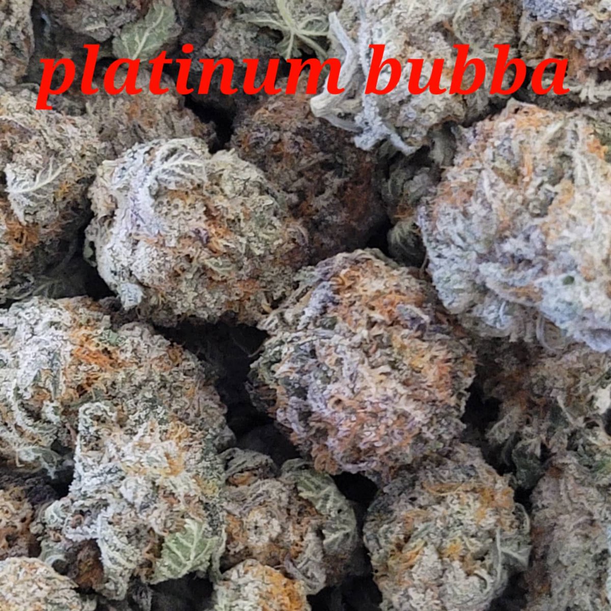 RustikThe's tweet image. Come check us out. The Rustik Leaf in ada Oklahoma. #adaok #ADA #adaoklahoma #medicalmarijuana #medicaldispensary #medicalmarijuna
#oklahoma #southernoklahoma