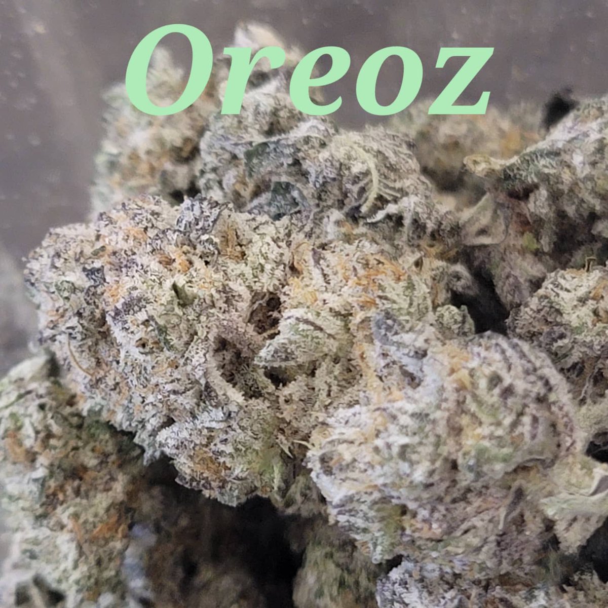 RustikThe's tweet image. Come check us out. The Rustik Leaf in ada Oklahoma. #adaok #ADA #adaoklahoma #medicalmarijuana #medicaldispensary #medicalmarijuna
#oklahoma #southernoklahoma