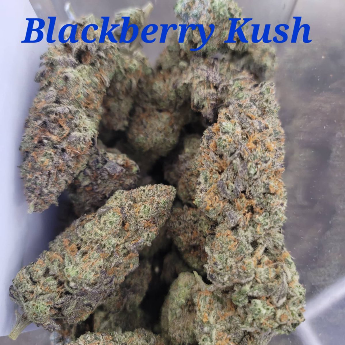 RustikThe's tweet image. Come check us out. The Rustik Leaf in ada Oklahoma. #adaok #ADA #adaoklahoma #medicalmarijuana #medicaldispensary #medicalmarijuna
#oklahoma #southernoklahoma