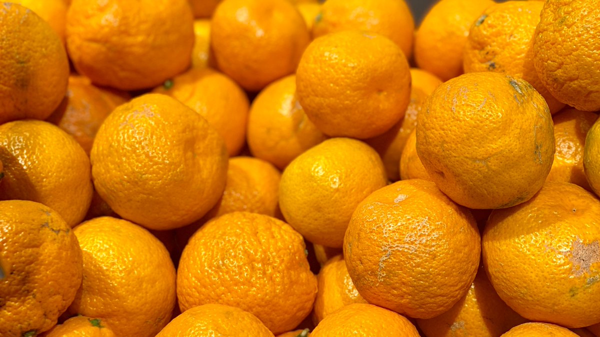 It's peak satsuma season! 🍊🍊🍊 Brighten up your day and get a boost of vitamin C with this extra juicy variety of mandarin orange. On sale now through December 19, while supplies last — $2.99/lb. (reg. $3.99/lb.) Or pick up a 3-lb. bag for $9.99 each.