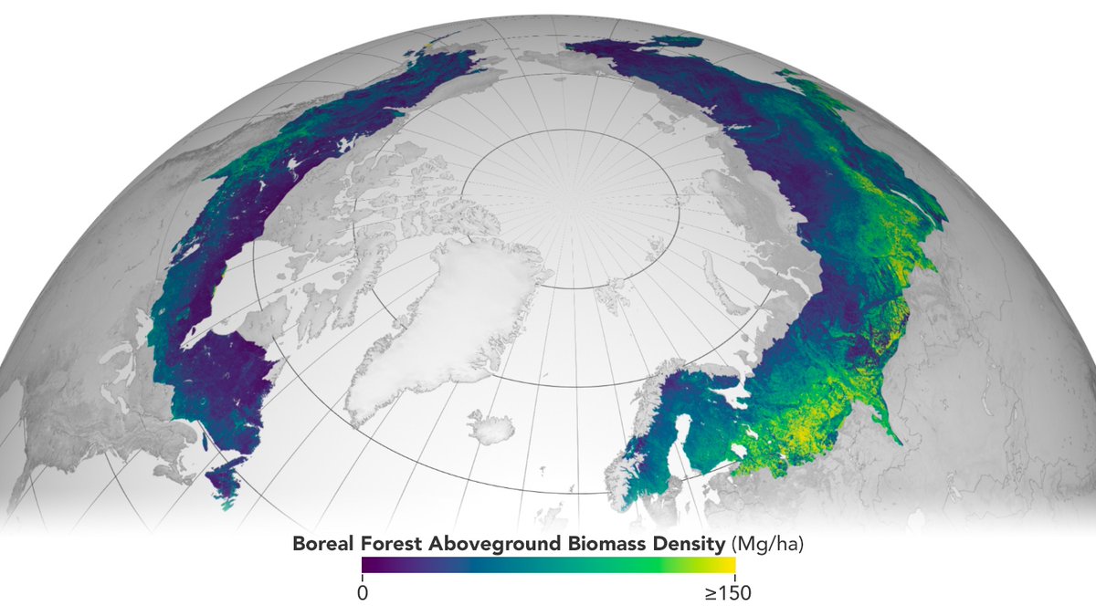How much carbon exists in Earth’s boreal forests? Laura Duncanson & colleagues used #ICESat2 and @USGS/@NASA_Landsat data to map forest height and biomass of northern forests.