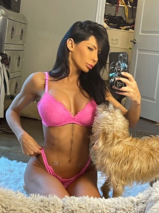 Find someone who looks at you, the way my best friends dog looks at me. 😂💞🐶 need more dogs in my life<a href="/tag/boss"class="tags"><span>#boss</span></a><a href="/tag/office"class="tags"><span>#office</span></a>