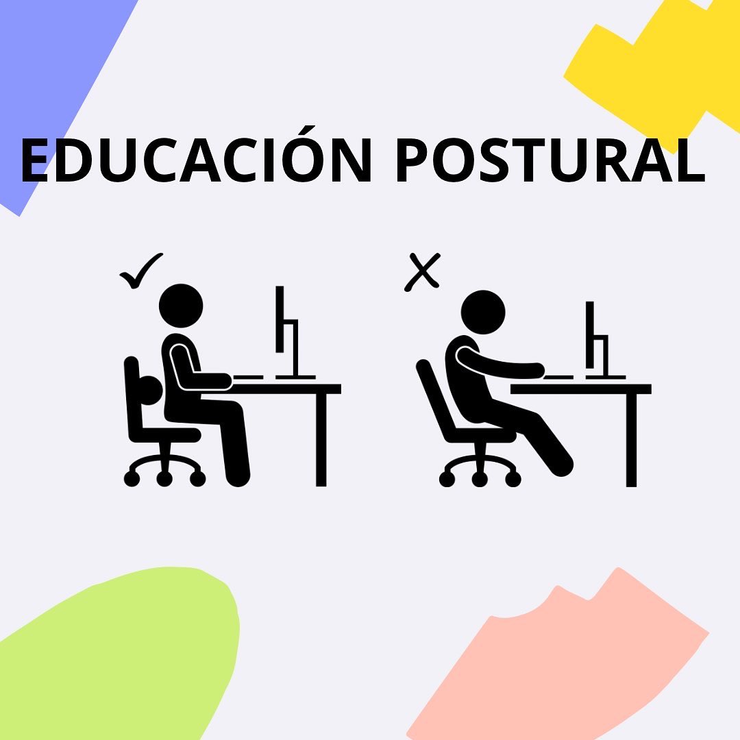 EducacioF's tweet photo. ¿Sabéis que es la educación postural? 
Desliza ➡️  para saber su importancia. 

Nos sorprende el gran porcentaje de alumnos entre 13 y 15 años que ya sufren dolores de espalda debido a las malas posturas. 

¿Qué pensáis vosotros? https://t.co/NzI0IjjDh6