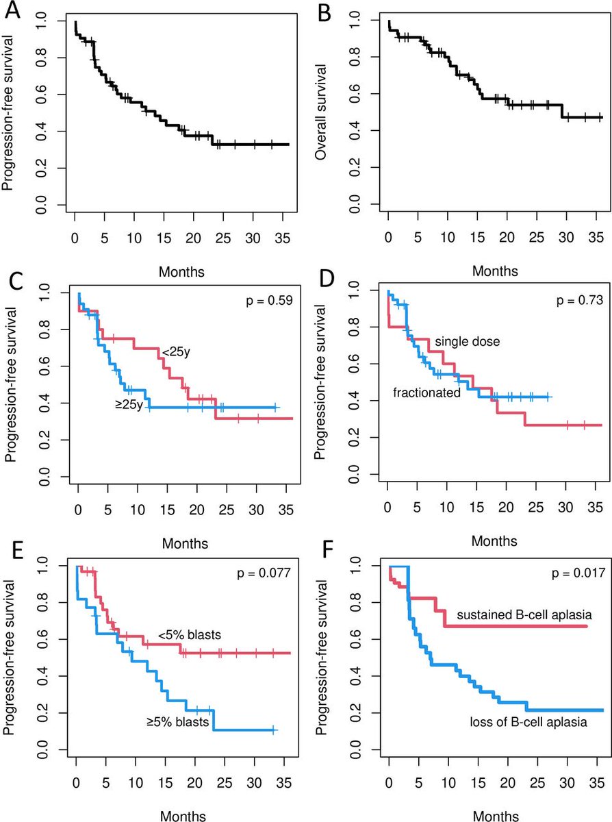 New #JITC letter: Factors associated with the clinical outcome of patients with relapsed/refractory CD19+ acute lymphoblastic leukemia treated with ARI-0001 CART19-cell therapy bit.ly/3m4tE8m <a href="/ainitaoliver/">Aina Oliver-Caldes</a> <a href="/ValentinOrtizMD/">Valentín Ortiz-Maldonado</a> <a href="/JulioDelgadoHem/">Julio Delgado</a>