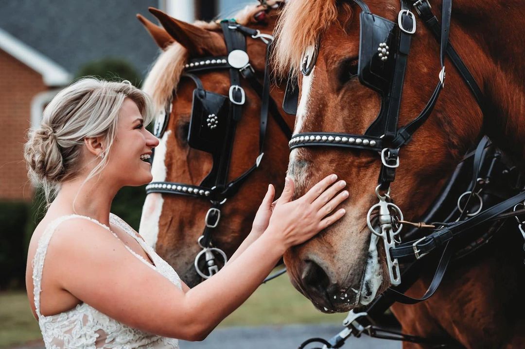 For that fairytale entrance!

#Repost Harmon Hayrides // Follow #HuntCountryCelebrations for more wedding inspiration. Tap the link in bio to connect with the wedding professionals featured on our posts.