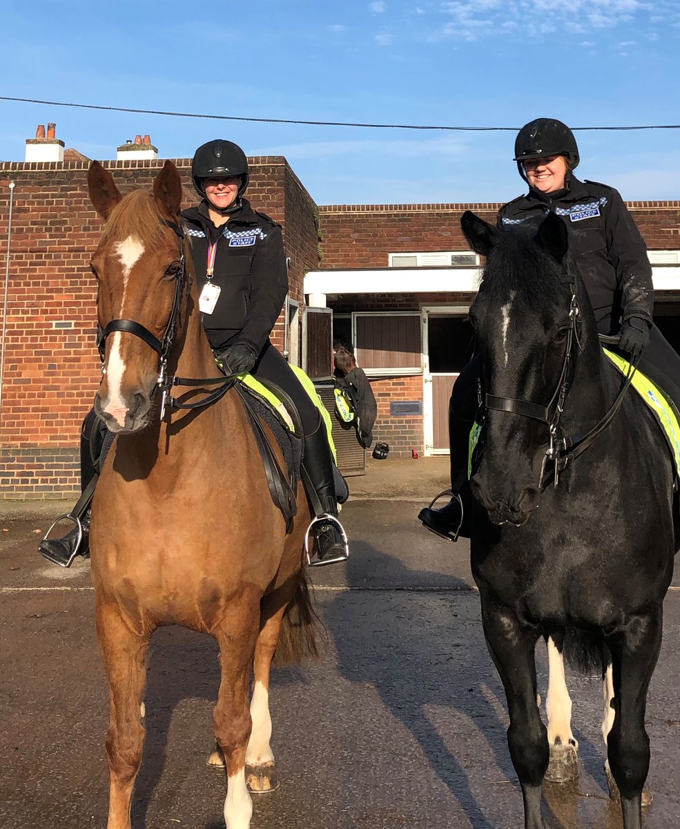 MerPolMounted's tweet photo. 3/3 Boris policed numerous Football fixtures throughout the years, attended hundreds of school visits and countless hi visibility patrols across the Force. Boris was a true yard favourite who will be sorely missed by us all. #StandTall #PHBoris https://t.co/K1hHaqgh3R