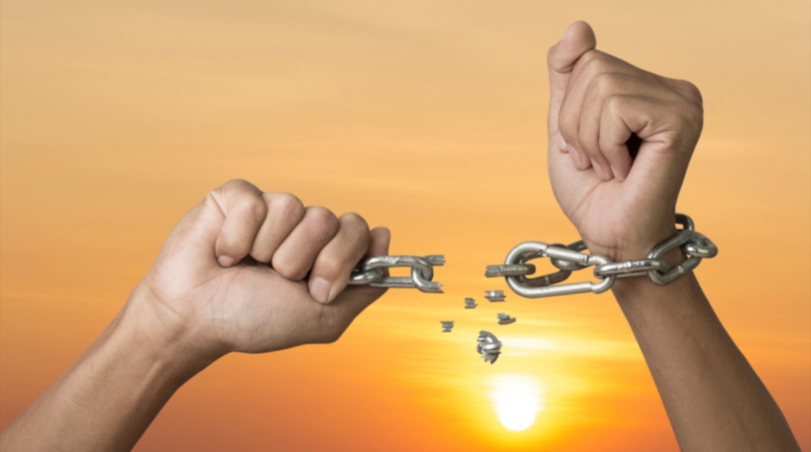 Robert Lanza, MD tweet media