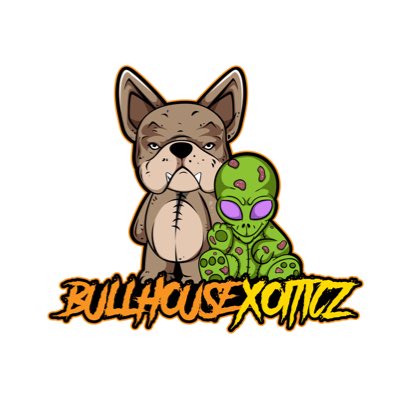 BHExotics_'s tweet image. #NewProfilePic