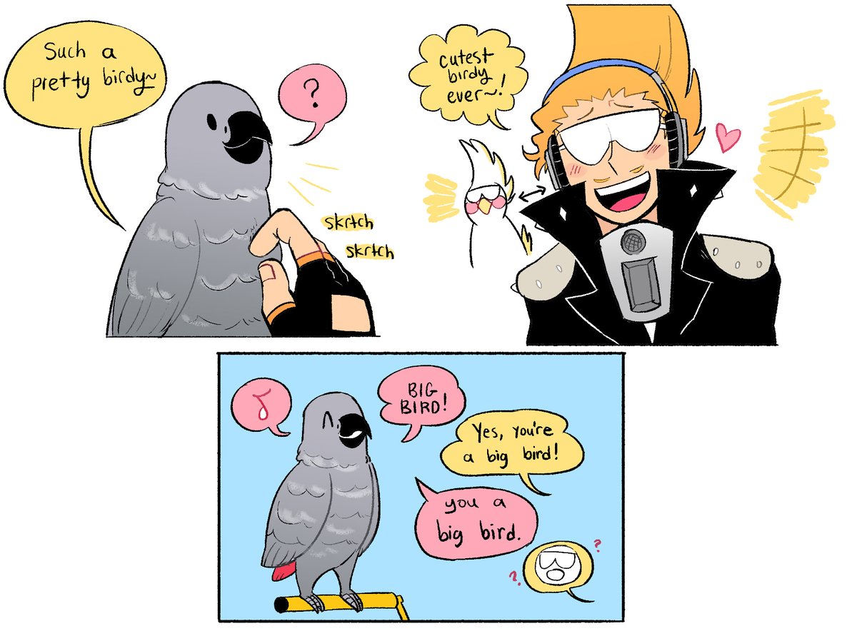 mic and his pet parrot 🦜 