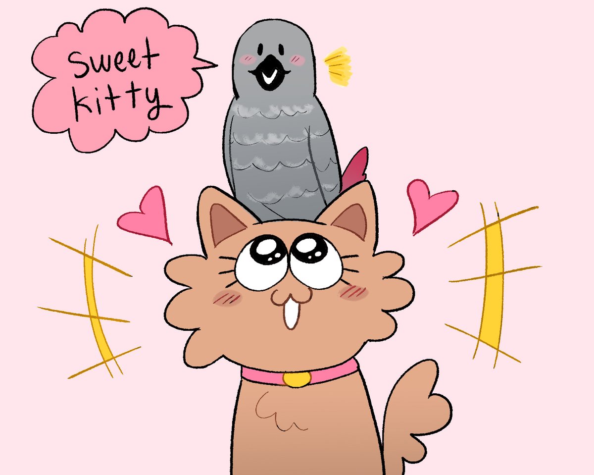mic and his pet parrot 🦜 