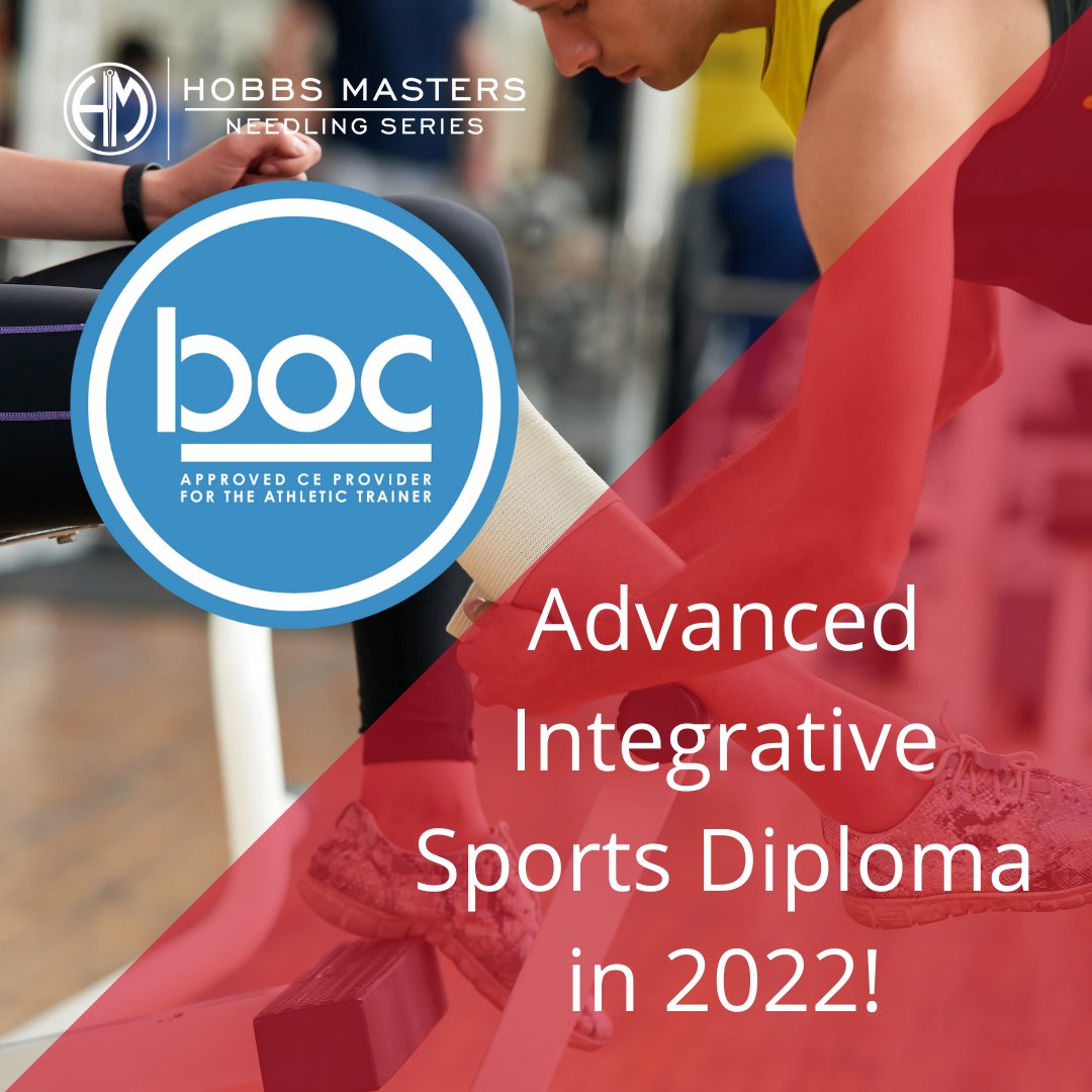 iM.IT Seminars tweet media