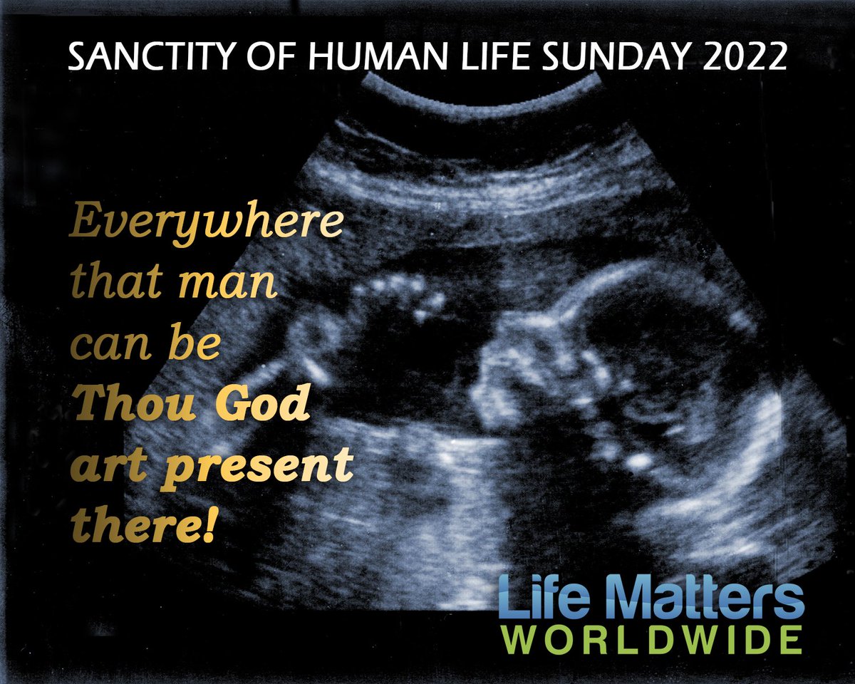 Promote Sanctity of Human Life Sunday 2022 at your church, with or without bulletins: Use slides, videos, text &amp; social media lifemattersww.org/CHURCHES/Sanct…