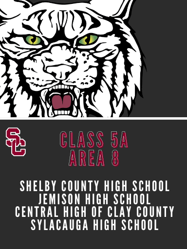 SCWildcatsVball's tweet photo. AHSAA has released the new Area classifications. We will remain in 5A, Area 8, losing one opponent and gaining a new one. Welcome back to our Area, Jemison High School! @JHS_Athletics1 https://t.co/afQgAoMjre